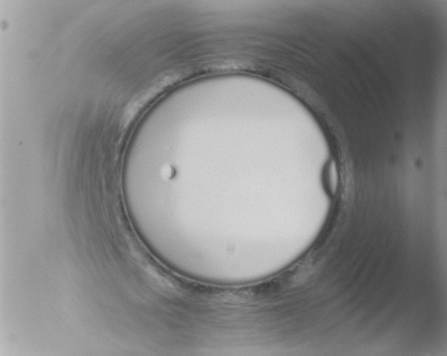 X0000051250721200507152149