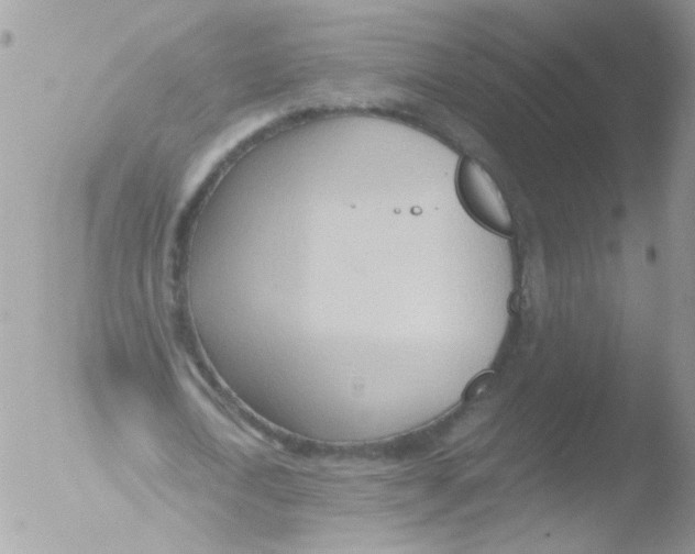 X0000051250722200507152149