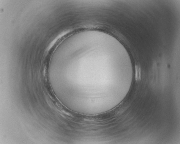 X0000051250723200507152149