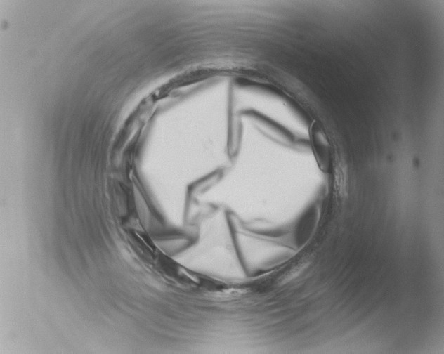 X0000051250724200507152149