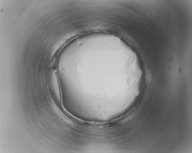 X0000051250725200507152149