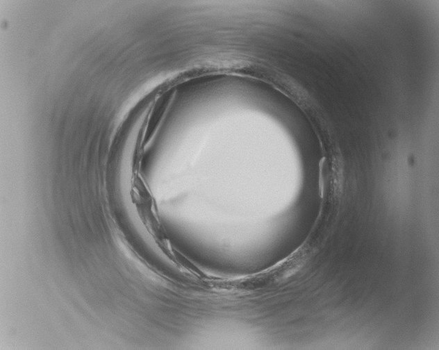 X0000051250726200507152149