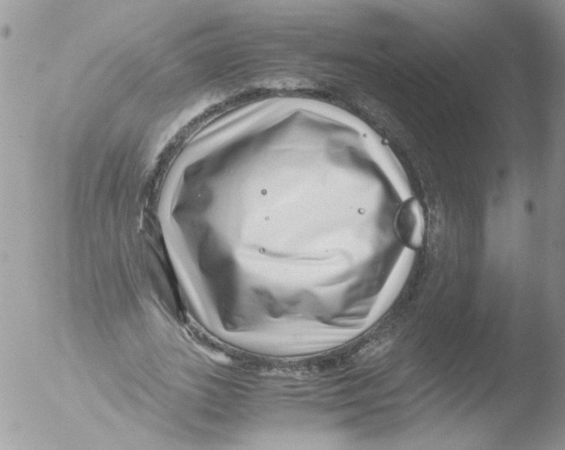 X0000051250727200507152149