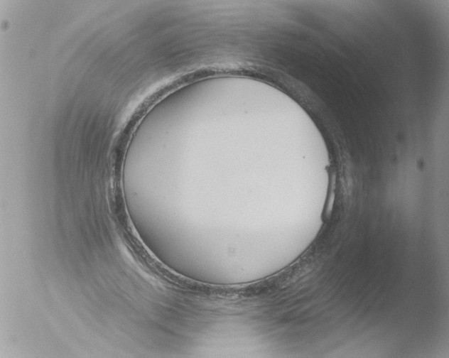 X0000051250728200507152149