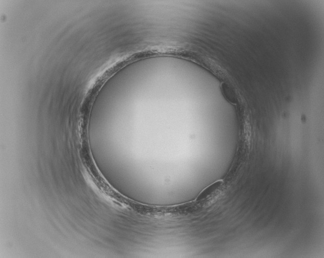 X0000051250730200507152149