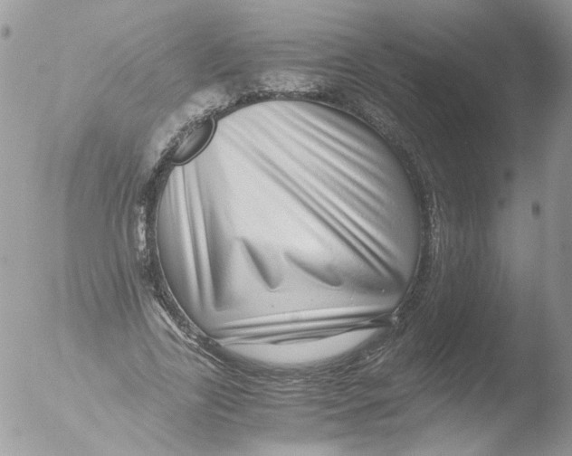 X0000051250731200507152149