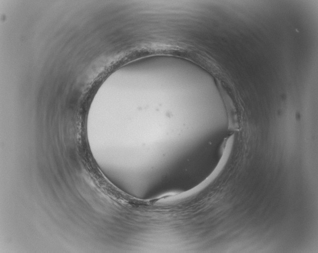 X0000051250732200507152149