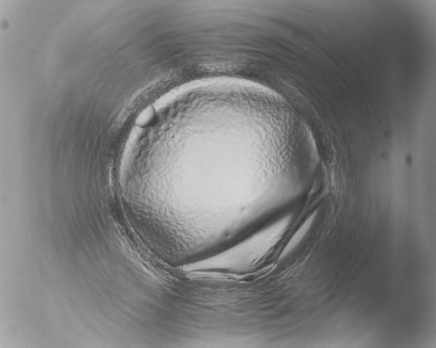 X0000051250733200507152149