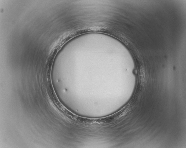 X0000051250734200507152149