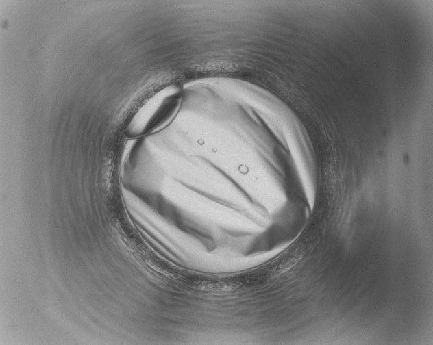 X0000051250735200507152149