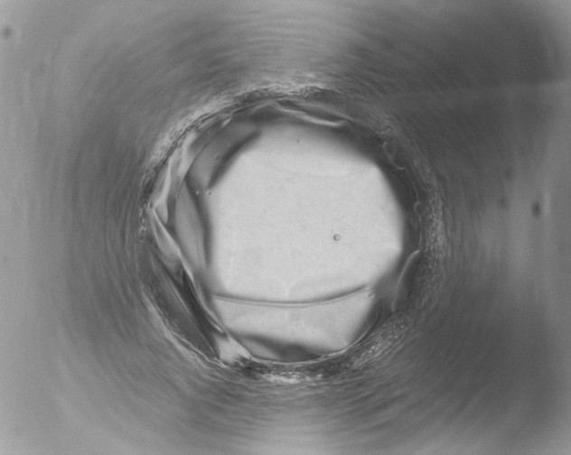 X0000051250736200507152149