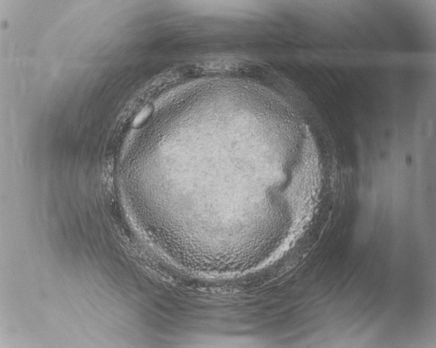 X0000051250737200507152149