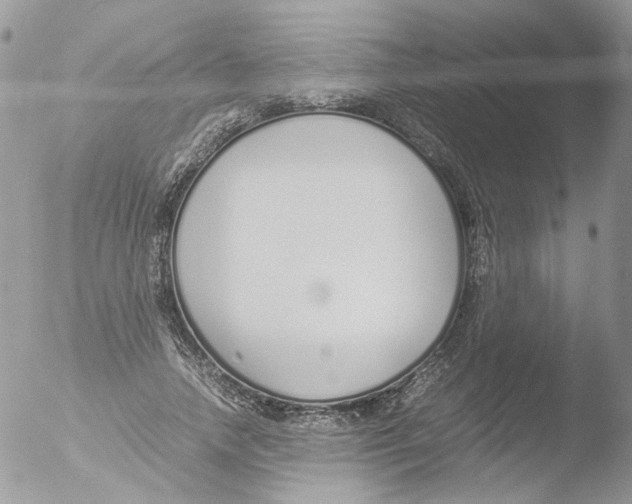 X0000051250738200507152149