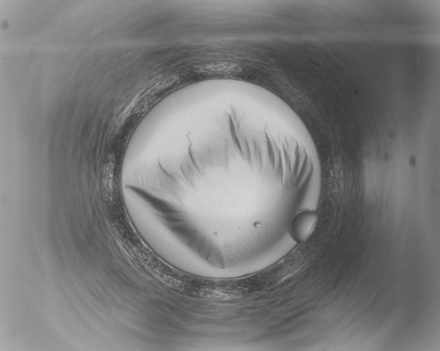 X0000051250739200507152149