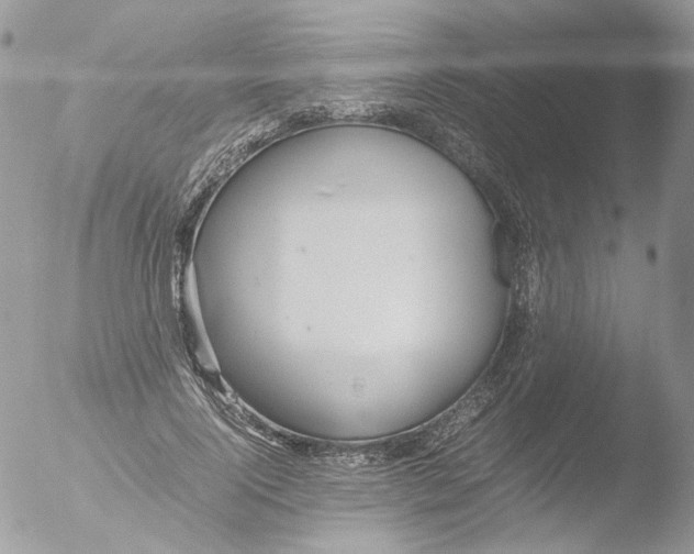 X0000051250740200507152149