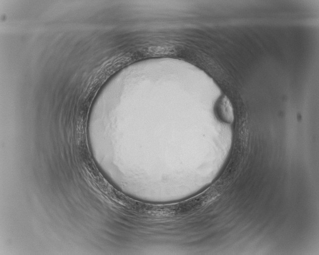 X0000051250741200507152149