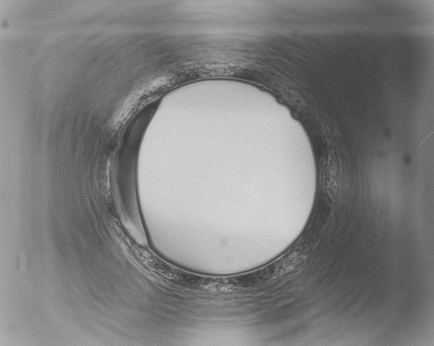 X0000051250742200507152149