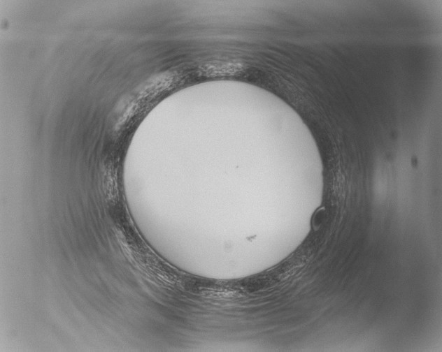 X0000051250743200507152149