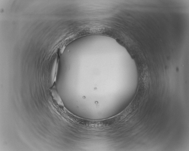 X0000051250744200507152149