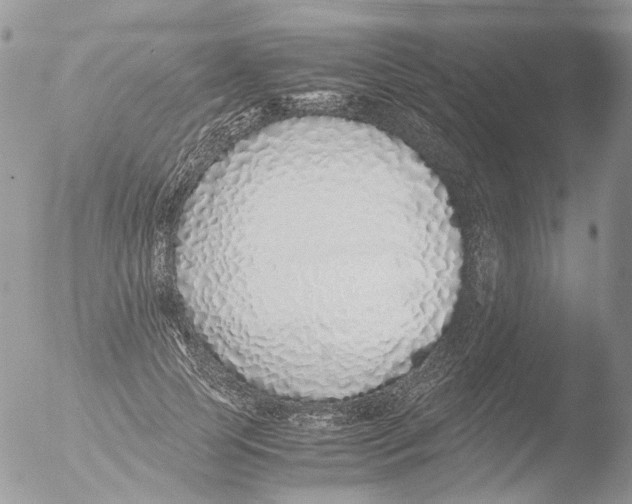 X0000051250745200507152149