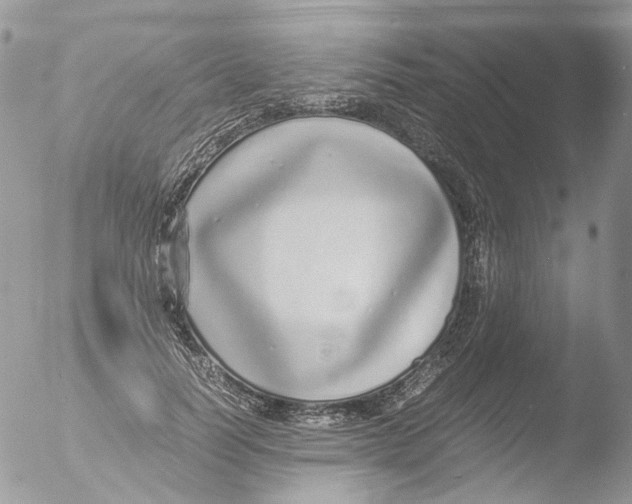 X0000051250746200507152149