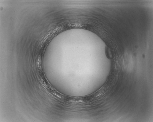 X0000051250747200507152149