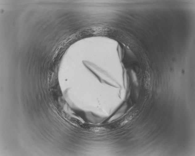 X0000051250748200507152149