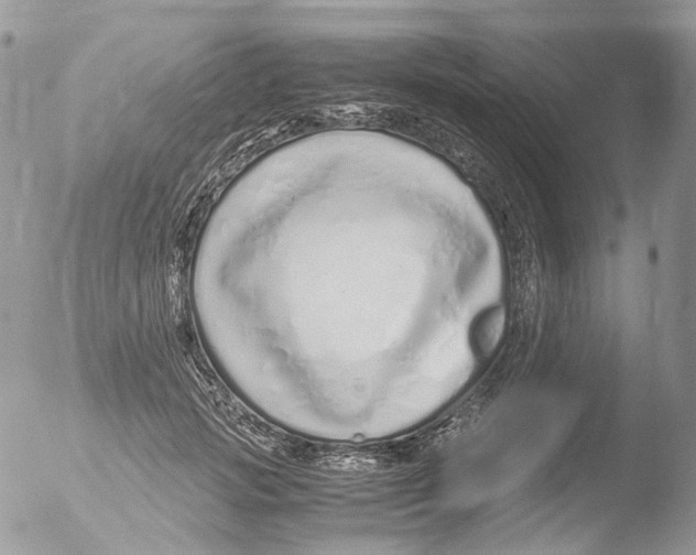 X0000051250749200507152149