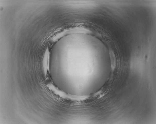 X0000051250750200507152149