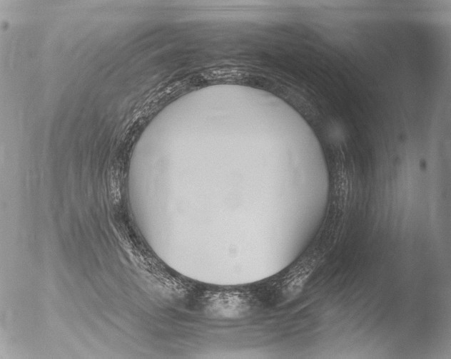 X0000051250751200507152149