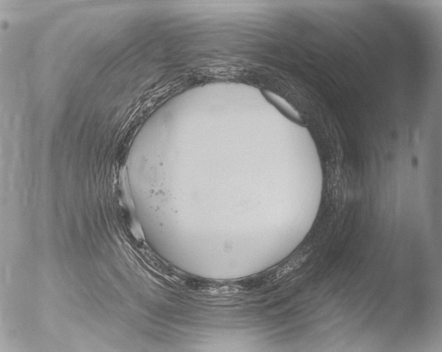 X0000051250752200507152149