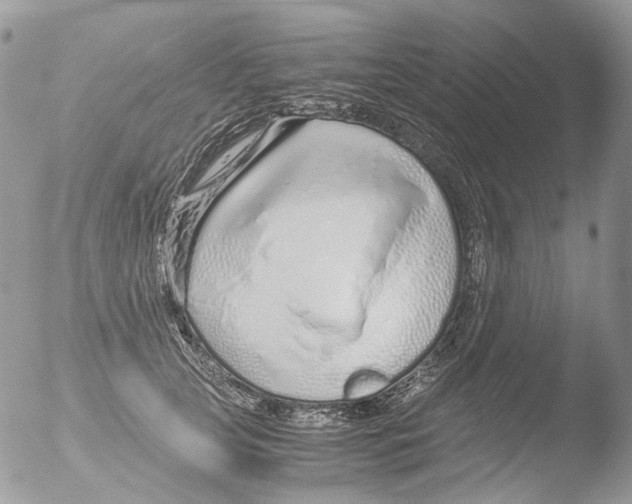 X0000051250753200507152149