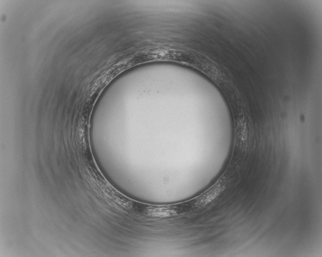 X0000051250754200507152149