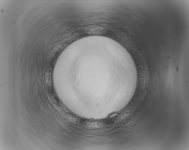 X0000051250755200507152149