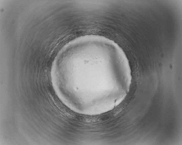 X0000051250757200507152149