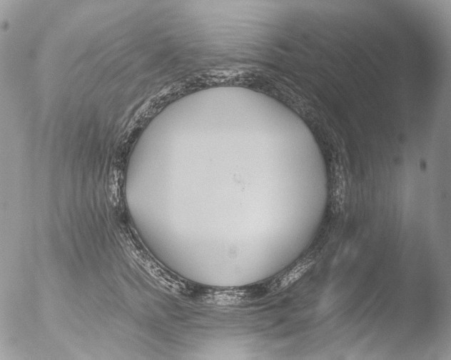 X0000051250758200507152149