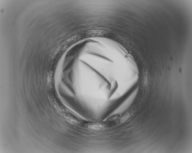 X0000051250759200507152149