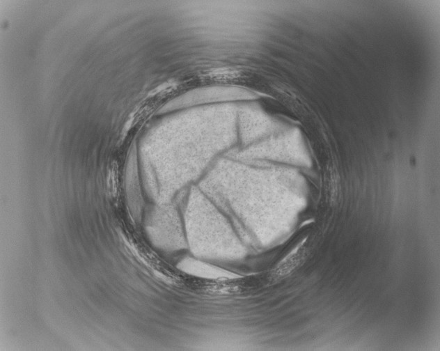 X0000051250760200507152149