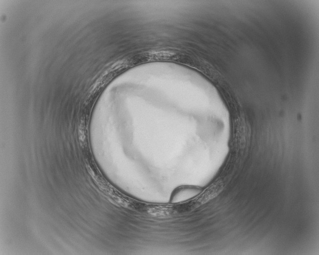 X0000051250761200507152149