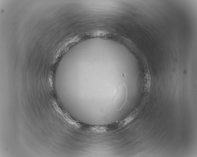 X0000051250762200507152149