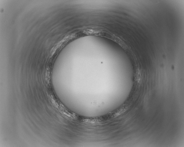 X0000051250763200507152149