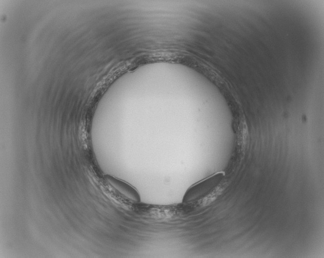 X0000051250764200507152149