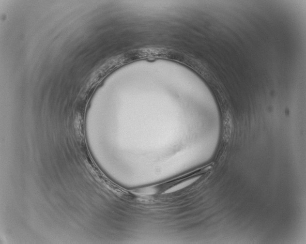 X0000051250765200507152149