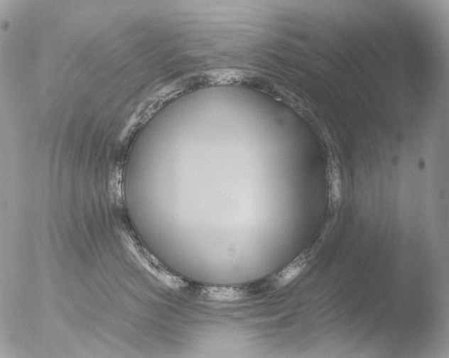 X0000051250766200507152149