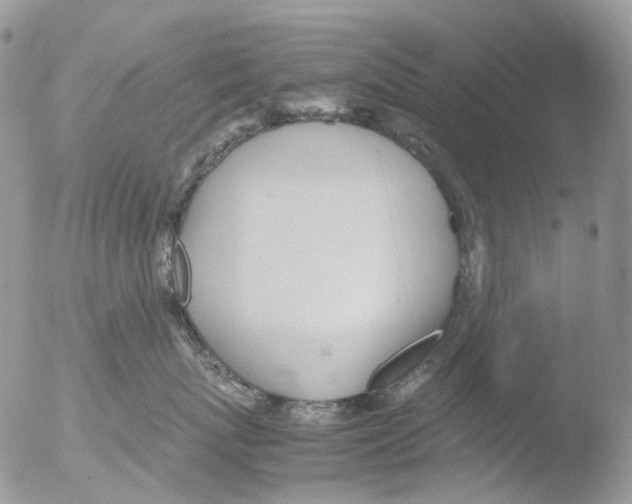 X0000051250767200507152149