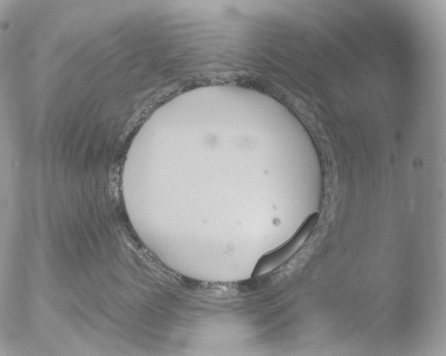 X0000051250768200507152149