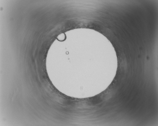 X0000051250769200507152149