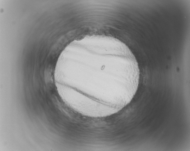 X0000051250770200507152148