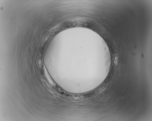 X0000051250771200507152148