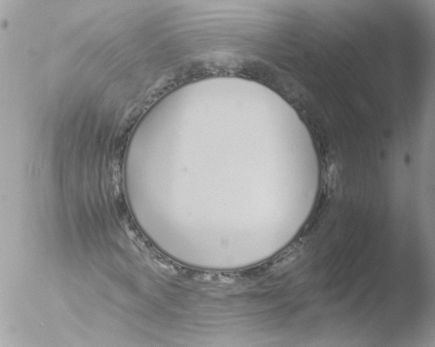 X0000051250772200507152148